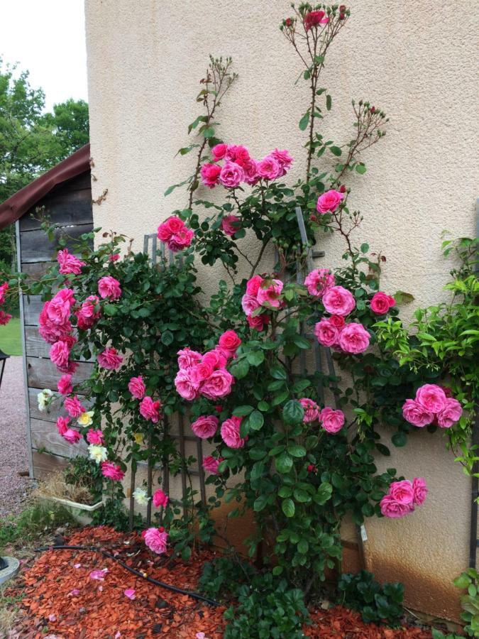 Bed and Breakfast La Mimona Sainte-Eulalie-en-Born Экстерьер фото